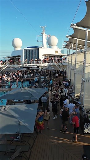 CELEBRITY REFLECTION Goes WILD in Epic Conga Line