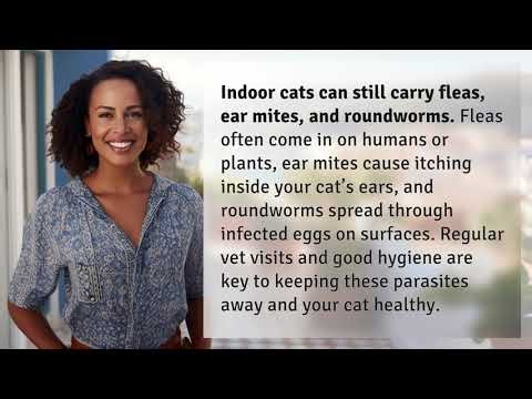 Which Parasites Can Hide in Your Indoor Cat’s Home?