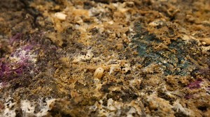 8.5M views · 91K reactions | Cleaning An Infested Rug. Satisfying ASMR Carpet Cleaning Timelapse. #satisfying #satisfyingvideos #oddlysatisfying #asmr #asmrcleaning #asmrbrushing #rugwashingasmr #carpet #carpetcleaning #rugwashing #rugscraping #restoration #calming #relaxing #sleepaid #reel #asmrvideo #dirtywater #asmrcleaning #carpetwash #reels #rugcleaning #carpetwashing #rugclean #cleaning #cleaningvideos #cleaningasmr #rugasmr #reelsinstagram #cleaningasmr | Mountain Rug Cleaning | Facebook