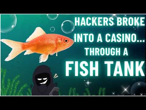 Hackers Broke Into a Casino...Through a Fish Tank Video
