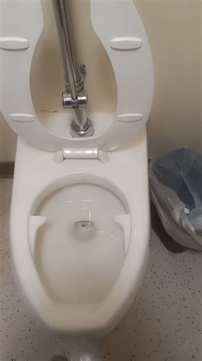 Hospital room toilet