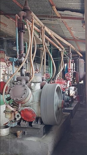 🔵 Inside the Ice Making Machine | Satisfying Ice Production Process | Factory Workflow