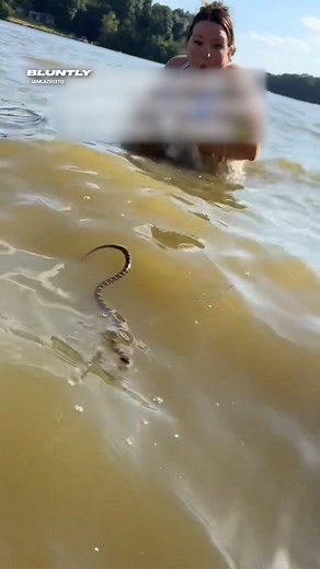 238K views · 207 reactions | Wild Swimming Goes Wrong  | Bluntly | Facebook