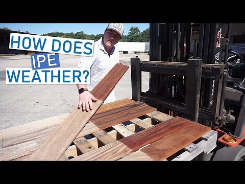 The Sunlight's Effect on Ipe Decking: +5 Bonus Hardwood Alternatives!