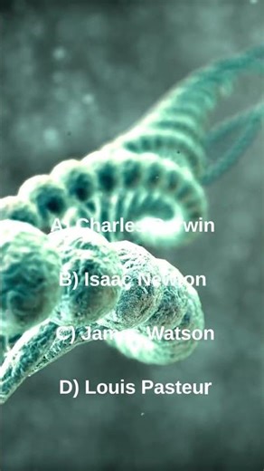 Biology Quiz 🧬 DNA Structure Challenge