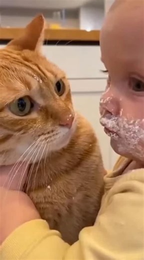 Aɴɪᴍᴀʟ Hᴜɴᴛ on Instagram: "This adorable moment captures a sweet and funny interaction between a gentle ginger cat and a cute baby 🐱👶💛 The cat is staring softly at the baby with curious, loving eyes, as if trying to understand this tiny human 🥹✨. The baby’s face is a little messy, which makes the moment even more hilarious and heart-melting 😂💕. It feels like a scene full of innocence, trust, and pure love 🤍🐾. The calm posture of the cat shows patience and kindness, while the baby’s close