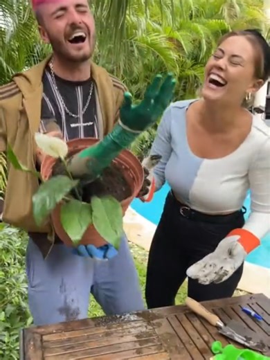 Hocus Pocus: A Magical and Funny Adventure