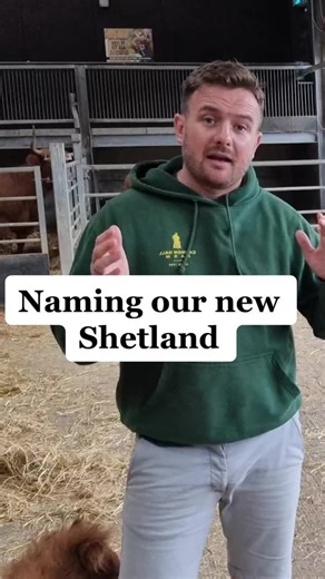 Naming Our New Shetland Pony at Cannon Hall Farm
