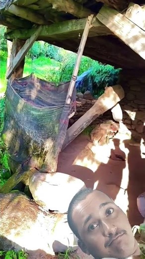 reaction bloge. how to create reaction bloge. how to use mobile phone with reaction bloge.