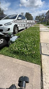 Instant Clover Lawn Removal | Tim The Lawnmower Man