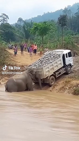 Understanding Disaster Collapse and Its Implications