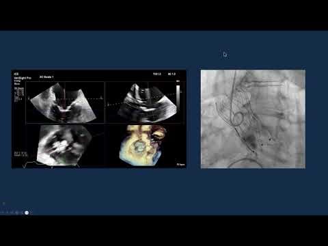 Dr. Gilbert Tang's Tips and Tricks on Optimizing Powerpoint (PPTX) Presentations