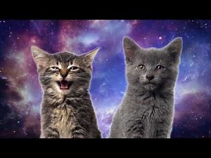 Space Cats - Magic Fly (Official Video)