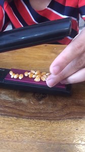 hair straightener tha #hair #dry #apkishruti #drivingheels | Shruti Ahuja - motorgurl