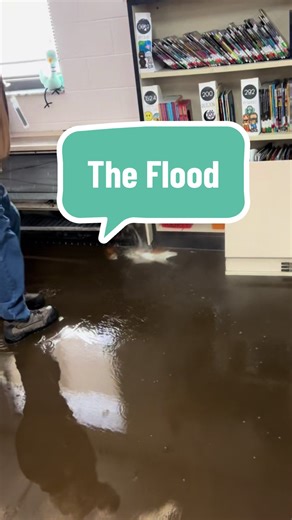 The Day My School Library Flooded: A Storytime Experience