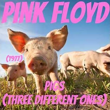 Pink Floyd: Pigs (Three Different Ones) (1977)