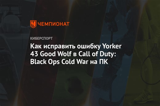 Как исправить ошибку Yorker 43 Good Wolf в Call of Duty: Black Ops Cold War на ПК