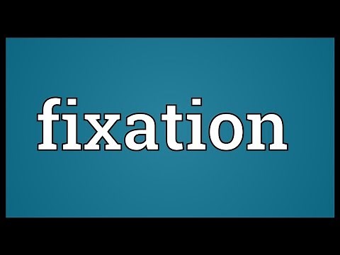 Fixation Meaning