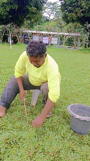 Gardening Tips: Planting Techniques Explained