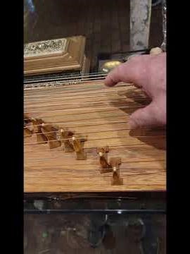 Stringed instrument what is it? #Chineseguitar #stringinstrument Malaysia