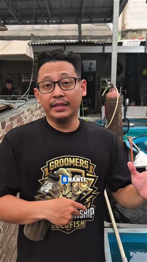 INI DIA WUJUD IKAN ELITE BUAT KONTES ELITE GOLDFISH CHAMPIONSHIP!! Jangan Sampe Kelewatan!