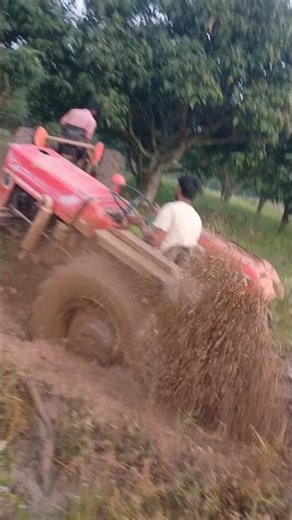 Tractor Stuck in Mud || agriculture Cultivation #tractor #tractorvideo #trending #shorts #241