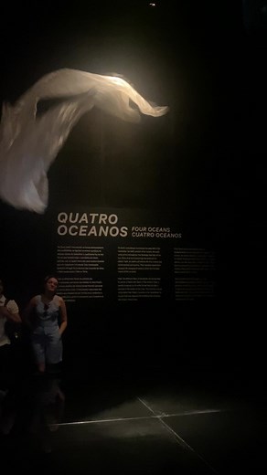 Quatro Estações: Arte e Cultura no Museu do Amanhã