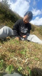 Vatamas ko geda tipn garo hudo reix hou!! @highlight | Hemika Rai