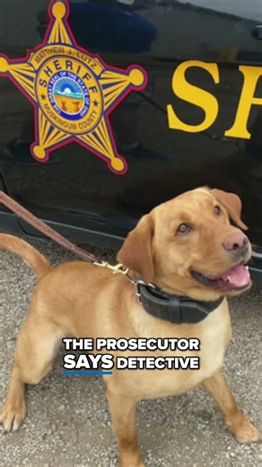 Muskingum County deputy charged in K-9's death