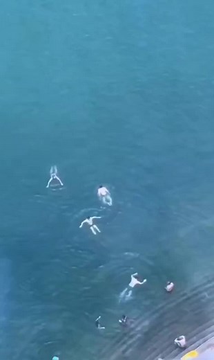 Carley Rob trên TikTok