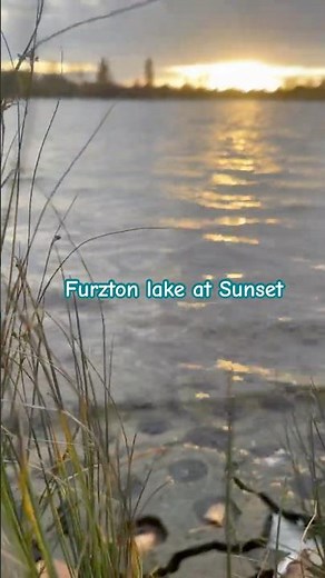 Furzton Lake | Scenic Lake Walk in Milton Keynes