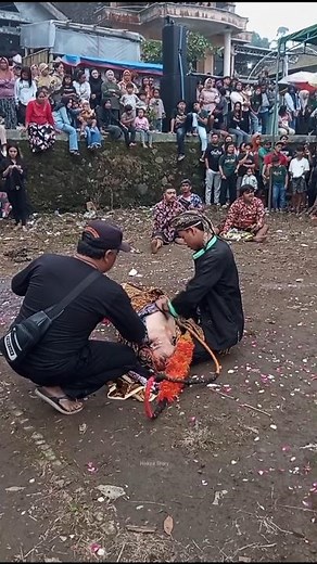 possessed by a scary corpse gondo #jaranan #kudalumping #trending