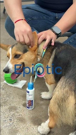 EPIOTIC I Cuida sus oídos con la rutina correcta