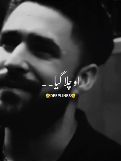 Hy Bapu: A Deep Dive into Heartfelt Poetry