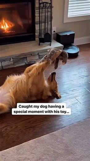 This Dog Plays with His Toy Like a Human So Emotional 😢 #DogLove