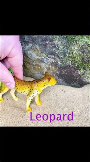 Farm Small World Diorama With Animals And Windmill | Cow Pig Horse