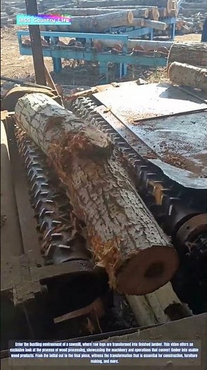 Wood Processing in Action: The Journey from Log to Lumber