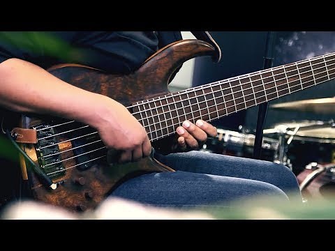 BREATHTAKING 6 STRING BASS SOLO (with an Ebow on just one string?)