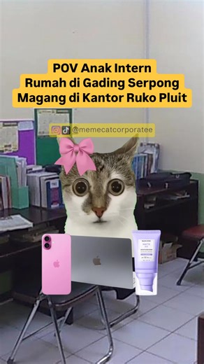Meme Cat Corporate | culture shock #corporatelife #corporatememes #catmemes #meme | Instagram