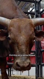 The one and only Woopaa. See why everyone loves Woopaa in The Ride now on @primevideo. | PBR