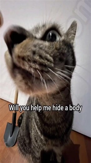 will you help me hide a body come on we don't have much time