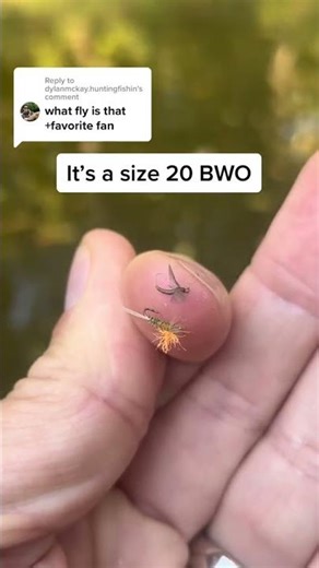 Replying to @dylanmckay.huntingfishin it’s a blue winged olive. #troutfishing #troutflyfishing