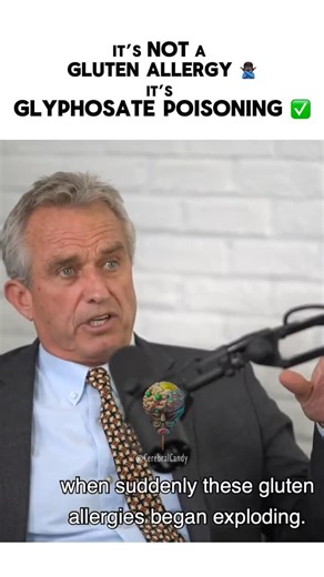 Cy Sylburn on Instagram: "🚨 Mind-Blowing Revelation from RFK Jr.: The ‘Gluten Allergy’ Explosion Isn’t About Gluten – It’s Glyphosate Poisoning from Roundup! Since 2006, farmers started spraying massive amounts of Monsanto’s Roundup (glyphosate) directly on wheat as a desiccant right before harvest – timing it so residues don’t wash off. This coincides exactly with the skyrocketing rates of celiac disease and gluten sensitivities. What we’re calling ‘gluten intolerance’ might actually be our bo