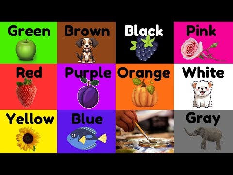 We Love All the Colors! | Colors Song | Learn Colors Song for Kids