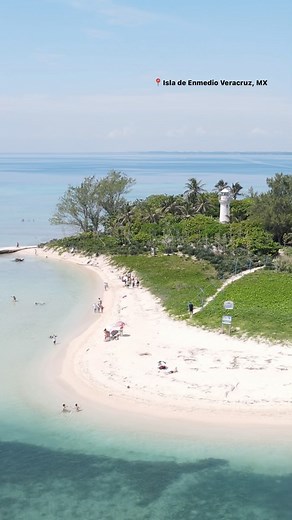 Monkey Fish Veracruz on Reels