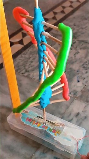 my school project DNA model #shorts