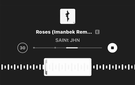 Тг: muzzalem ссылка в профиле #roses#imanbek#imanbekremix #трек #fyp | roses imanbek remix