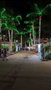 5.4K views · 662 reactions | Santa(s) made their yearly visit to Key West before their big day of delivering gifts . I think the reindeer will need to be on autopilot…  - #keywestvibes #santaslittlehelper | Backyards of Key West Gallery | Facebook