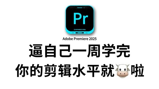 【PR教程】Premiere2025最新版全套教程！逼自己一周学完，少走99%的弯路！从零基础小白到视频剪辑大神看这套就够了！