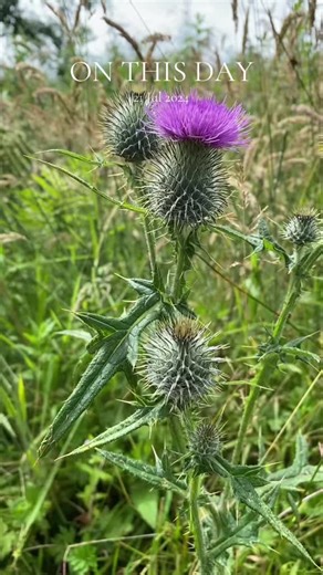 Heath_Land on TikTok